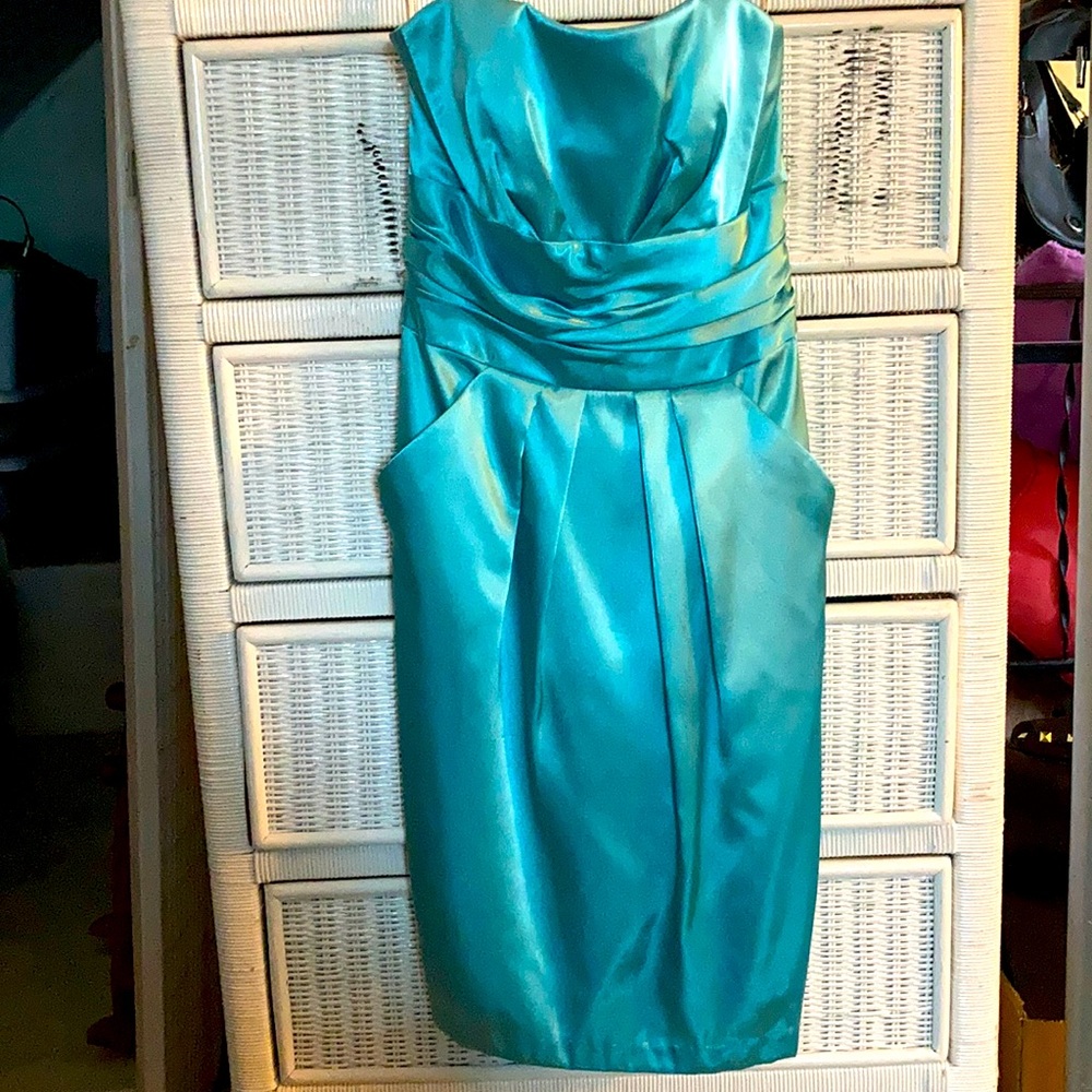 David’s Bridal Dress